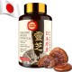 Yasumako Japanischer Reishi-Pilz Ergänzung 800mg mit Reishi-Pilz-Extrakt 500mg & Reishi-Schalensporen 200mg, Bio-Pilz 60 Kapseln